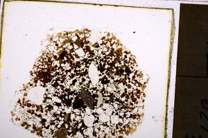 Plane Polarized, E40052