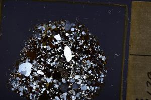 Cross Polarized, E40052