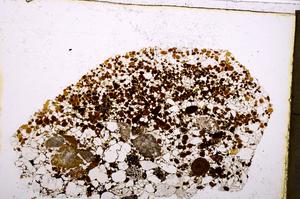 Plane Polarized, E40053