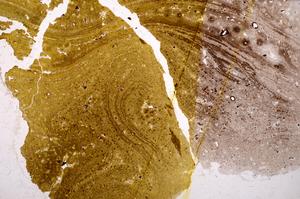 Plane Polarized, E40069