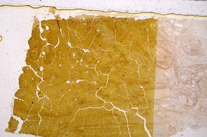 Plane Polarized, E40070