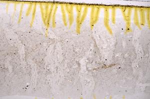 Plane Polarized, E40096