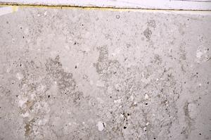 Plane Polarized, E40098