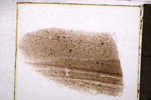 Plane Polarized, E40127