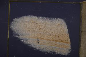 Cross Polarized, E40127