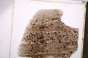 Plane Polarized, E40128