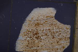 Cross Polarized, E40128