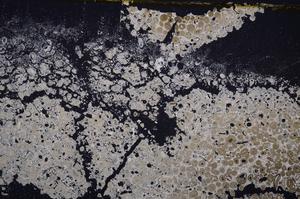 Cross Polarized, E40132/B