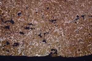 Cross Polarized, E40134