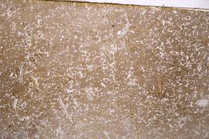 Plane Polarized, E40143/A