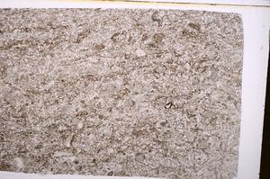 Plane Polarized, E40149/A