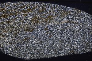 Cross Polarized, E40157/A