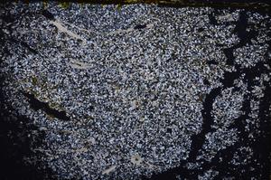 Cross Polarized, E40158/B