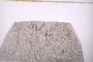 Plane Polarized, E40159/A