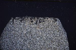 Cross Polarized, E40159/A