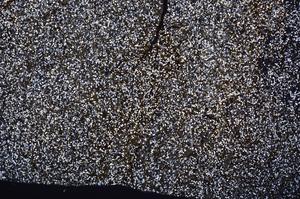 Cross Polarized, E40160