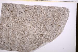 Plane Polarized, E40161/A