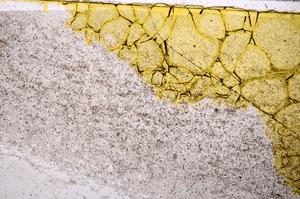 Plane Polarized, E40167/B