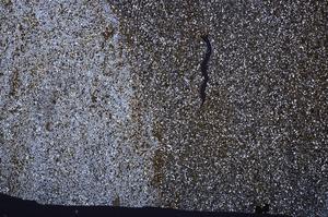 Cross Polarized, E40168