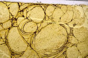 Plane Polarized, E40168/B