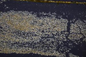 Cross Polarized, E40172