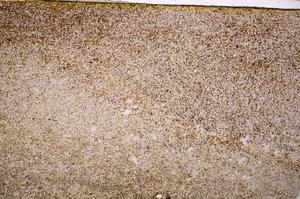 Plane Polarized, E40172/A