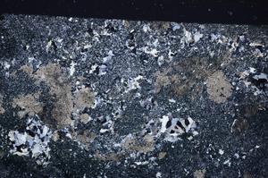 Cross Polarized, E40244