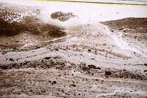 Plane Polarized, E40275