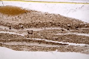 Plane Polarized, E40277