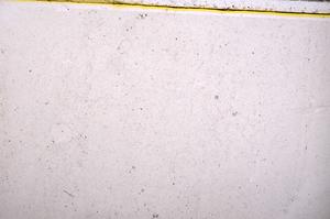 Plane Polarized, E40279/A