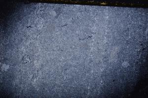 Cross Polarized, E40279/A