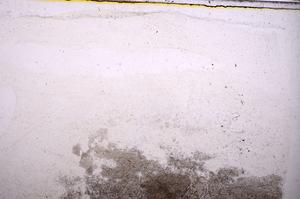 Plane Polarized, E40284