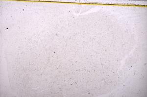 Plane Polarized, E40284/A