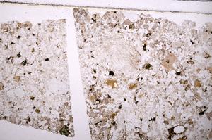 Plane Polarized, E40294