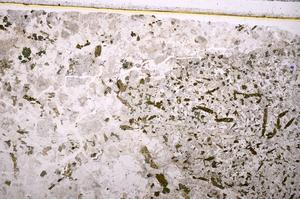 Plane Polarized, E40295