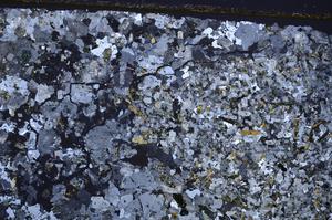 Cross Polarized, E40295