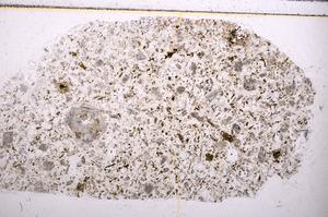 Plane Polarized, E40298