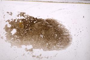 Plane Polarized, E40312