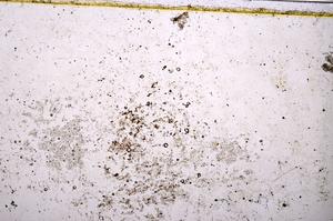 Plane Polarized, E40314