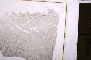 Plane Polarized, E40533