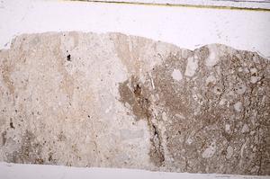 Plane Polarized, E40536
