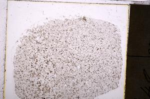 Plane Polarized, E40537