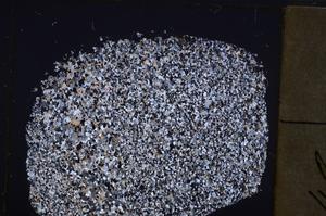 Cross Polarized, E40537