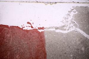 Plane Polarized, E40538/A