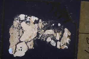 Cross Polarized, E40539