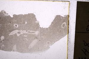 Plane Polarized, E40541