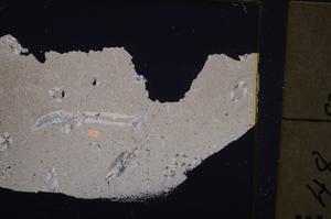 Cross Polarized, E40541