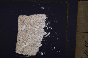 Cross Polarized, E40543