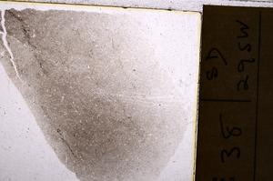Plane Polarized, E40546