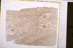 Plane Polarized, E40549